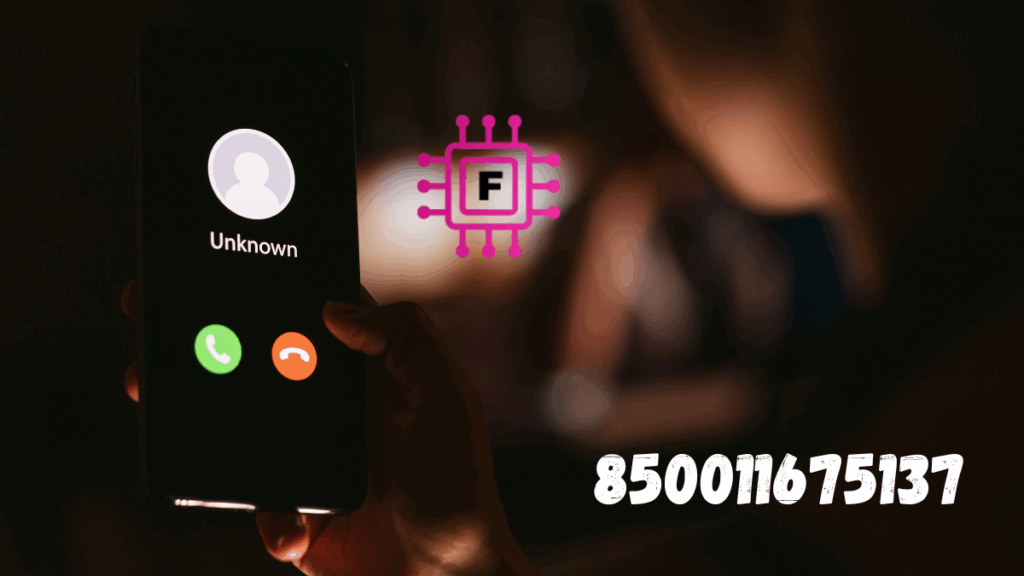 850011675137