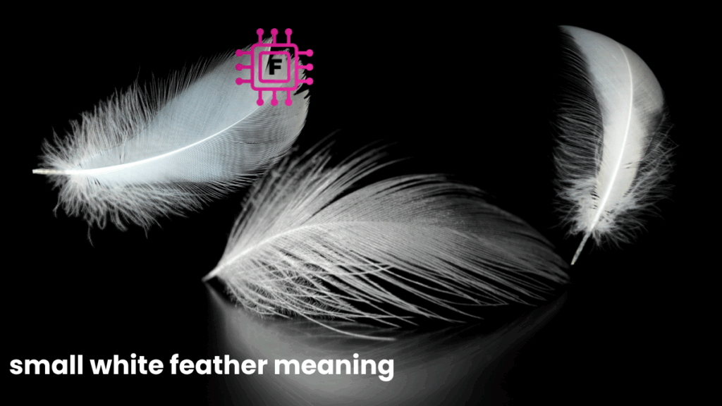 Small White Feather