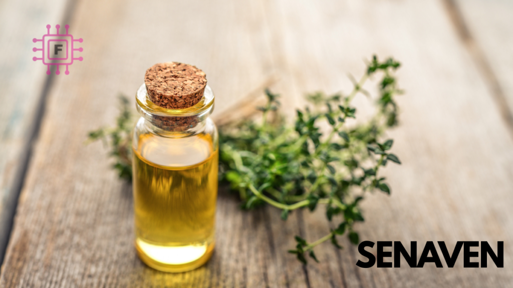 Senaven: A Gateway to Venezuela’s Commercial and Cultural Legacy Senaven