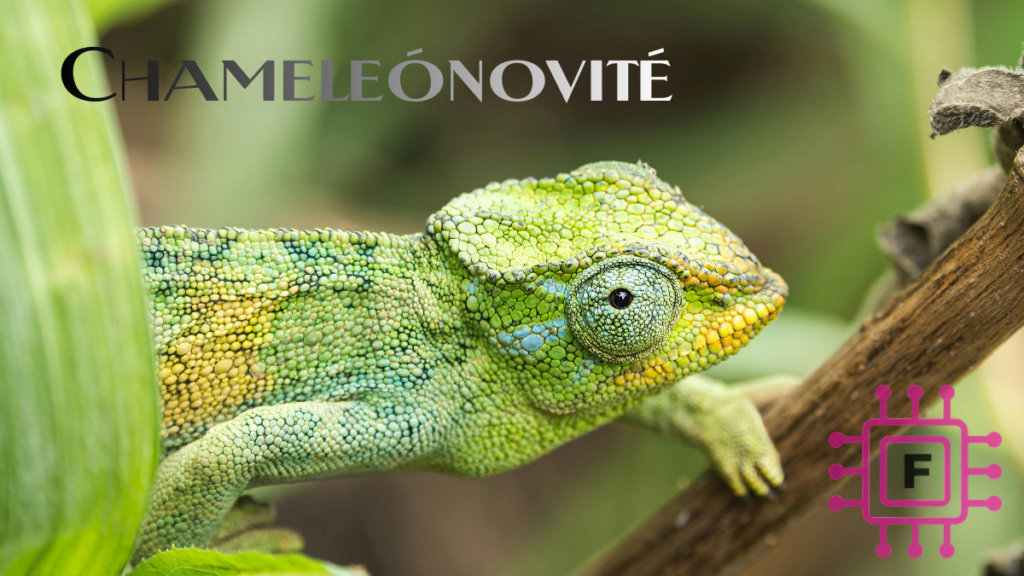 Chameleónovité: Majstri premeny, farieb a tichého pohybu Chameleónovité
